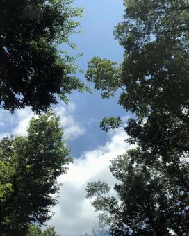 景色 景色の写真
