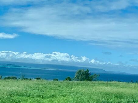 青い海と空 海,草地,ブルーの写真素材
