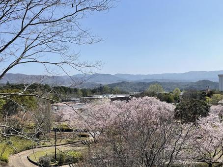 猪名川町総合公園の写真