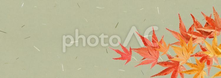 紅葉と和紙のテクスチャ素材 紅葉,和紙,フレームjの写真素材
