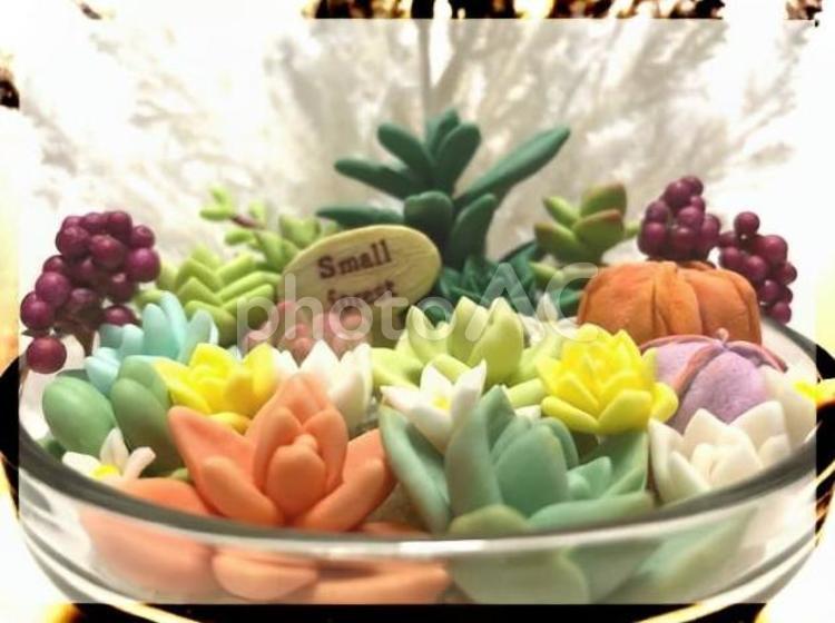 粘土の多肉寄せ植え（枠1 粘土,樹脂粘土,多肉植物の写真素材
