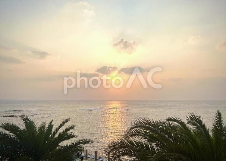 椰子の木と夕暮れの海景 椰子の木,夕暮れ,海景の写真素材