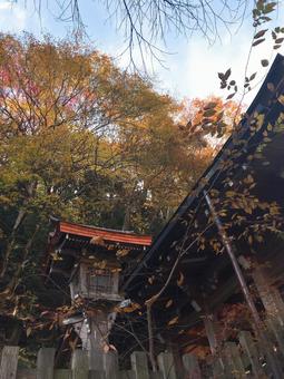 灯篭 灯篭の写真