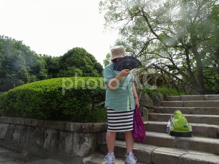 変なおばさんと扇子 お笑い,オバサン,中年の写真素材