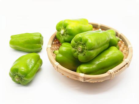 ピーマン カゴ 白背景 ピーマン カゴ 白背景 ピーマン,野菜,ベジタブルの写真素材