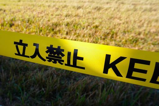 屋外の立ち入り禁止テープ2 立入禁止,禁止,進入禁止の写真素材