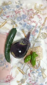 本日の収穫 本日の収穫 茄子,きゅうり,しし唐の写真素材