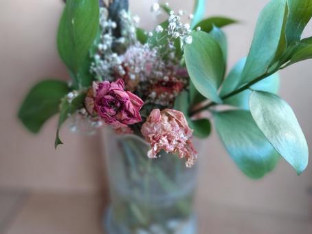 枯れゆく薔薇-クローズアップ 枯れゆく薔薇-クローズアップ 薔薇,クローズアップ,花の写真素材