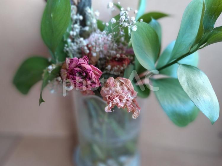 枯れゆく薔薇－クローズアップ 薔薇,クローズアップ,花の写真素材