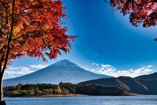 もみじトンネルからの富士山 空,富士山,風景の写真素材