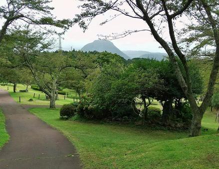 初秋の緑の公園 初秋の緑の公園の写真