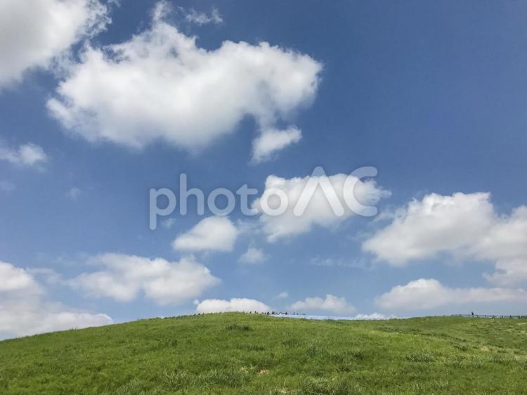 国営ひたち海浜公園　みはらしの丘 国営ひたち海浜公園,ひたち海浜公園,みはらしの丘の写真素材