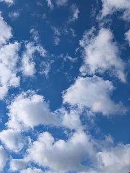 晴れと曇 青空,曇,空の写真素材