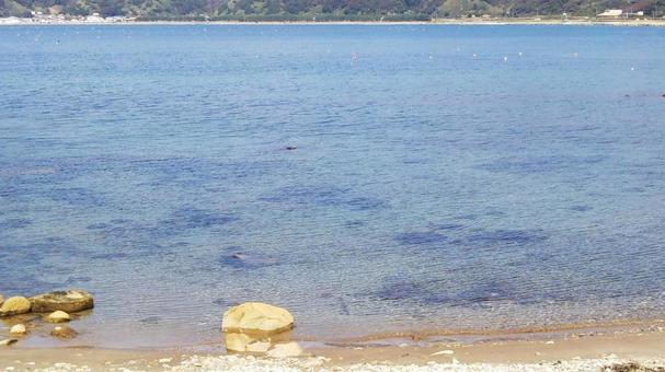 波打ち際 波打ち際,日本海,海の写真素材