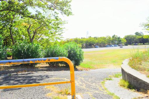 公園と青空 公園と青空の写真