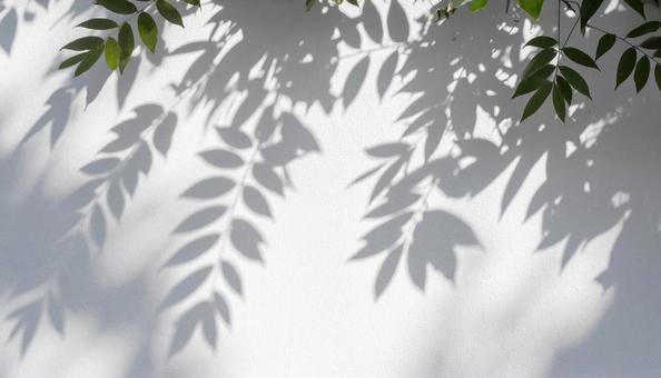 葉の影と白い壁のナチュラルアート 葉の影と白い壁のナチュラルアートの写真