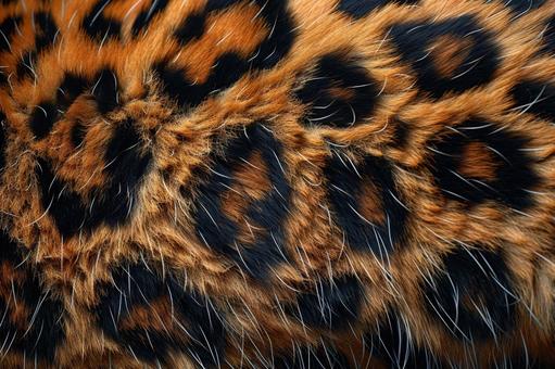 ヒョウ柄のリアルな毛並みの背景素材 ヒョウ柄のリアルな毛並みの背景素材の写真