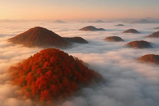 雲海に浮かぶ紅葉丘 雲海に浮かぶ紅葉丘の写真