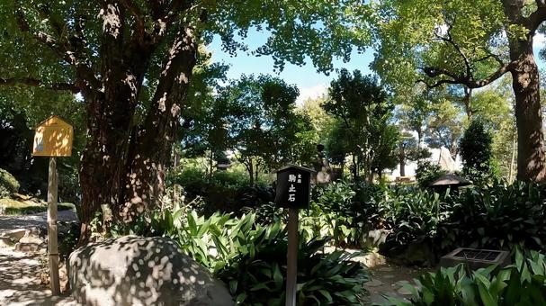 東京都墨田区横網１丁目　旧安田庭園 池泉回遊式庭園,リラックス,回遊式庭園の写真素材