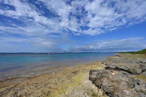 Coral Beach Coral Beachの写真