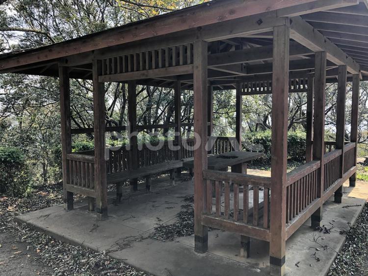 公園の憩いの場 木材,木製,家の写真素材