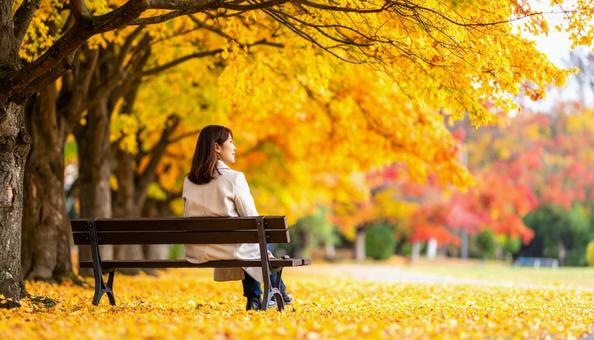 紅葉の午後に思うこと 紅葉の午後に思うことの写真