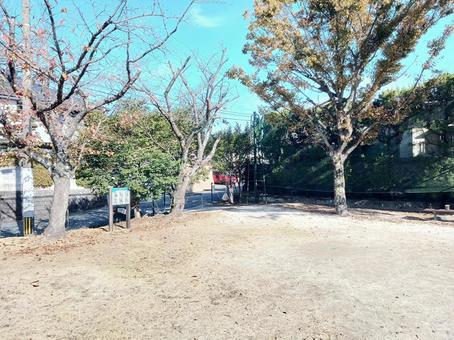 公園 青い空 公園 青い空の写真