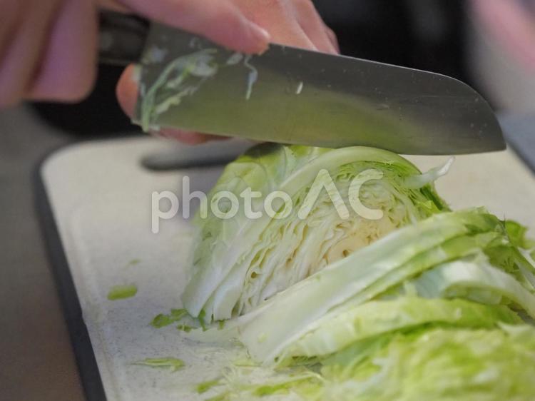キャベツの千切りをする男性の手元 キャベツ,千切り,男性の写真素材