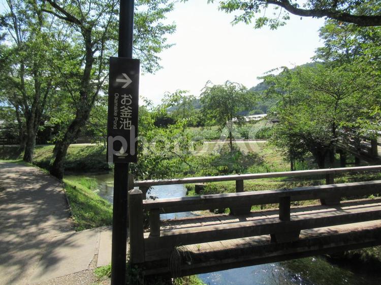 富士山麓、忍野八海の風景 忍野八海,中池,湧水群の写真素材