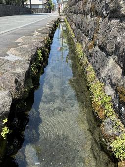 島原 湧水 島原 湧水の写真