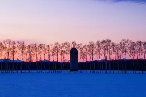 Winter pasture and forest at dusk, JPG