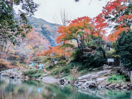 嵐山渓谷の紅葉 嵐山渓谷,紅葉,槻川の写真素材