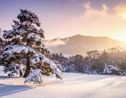 雪降る日本の雪景色 雪降る日本の雪景色の写真