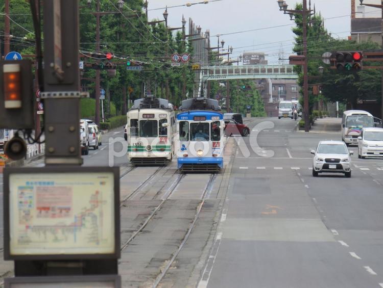 路面電車 熊本県,市立体育館前,路面電車の写真素材