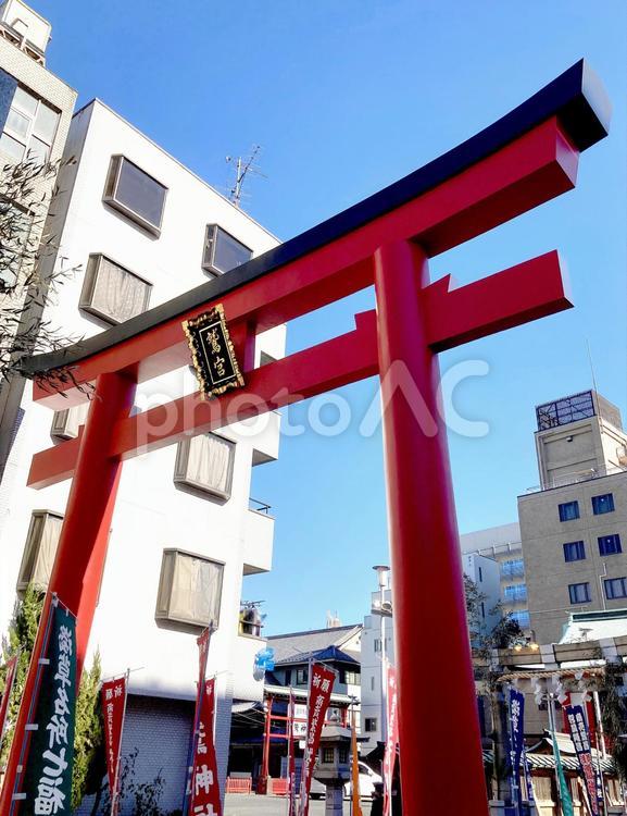 東京風景・鷲神社 鷲神社,お酉様,鳥居の写真素材
