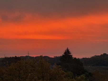 朝焼け 朝明け,冬の朝,ピンクの写真素材