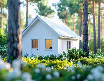 森の中の白い小屋 森の中の白い小屋の写真