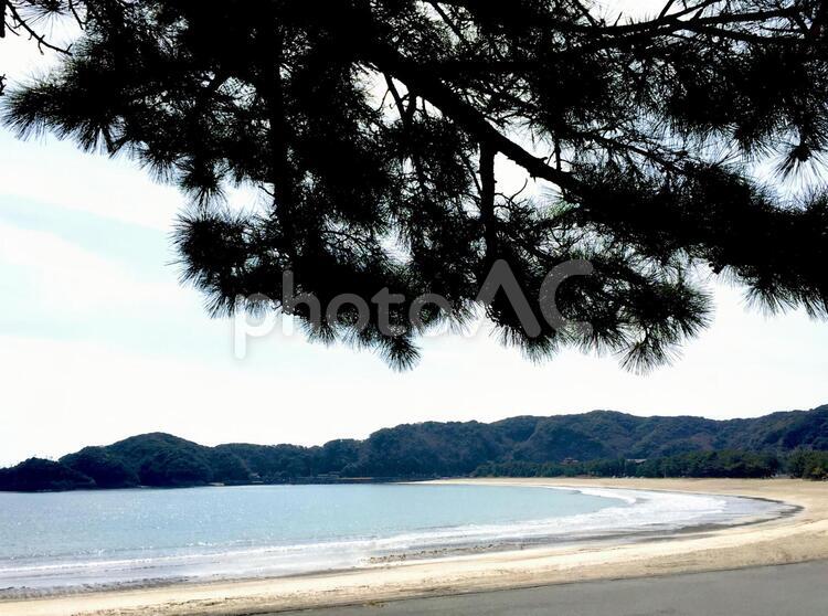 弓ヶ浜海岸の景色@南伊豆 南伊豆,弓ヶ浜,海の写真素材