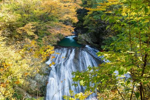 秋の関山大滝⑽ 秋,紅葉,滝の写真素材
