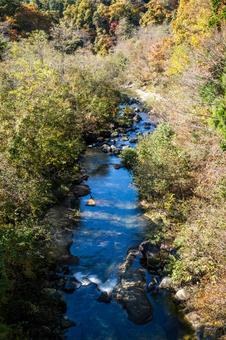 秋の横川渓谷⑷ 秋,紅葉,木々の写真素材