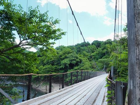 夏の景色26 夏の景色26の写真