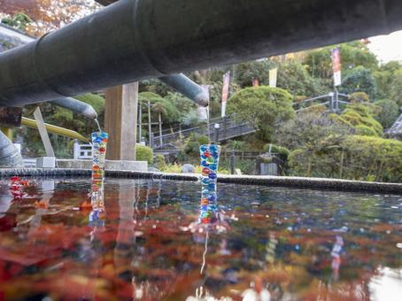 紅葉映す岡寺の彩手水 明日香村,奈良,彩手水の写真素材