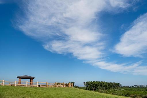 岩沼海浜緑地南ブロックの風景⑻ 公園,岩沼海浜緑地南ブロック,緑地公園の写真素材