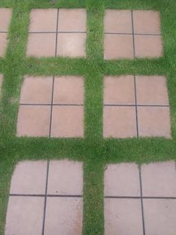 芝生 芝生,タイル,地面の写真素材