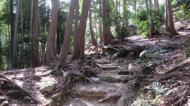 Photo, yamazaki battlefield, battle of yamasaki, toyotomi hideyoshi, 