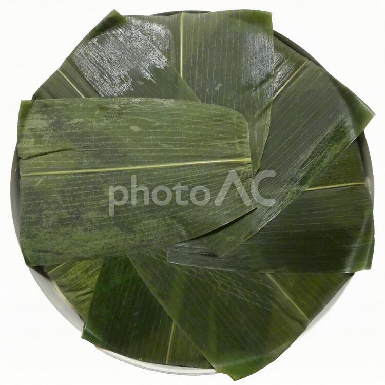 ます寿司　開く前 鱒寿司,寿司,押し寿司の写真素材