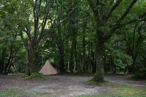 森の中のテント 森の中のテントの写真