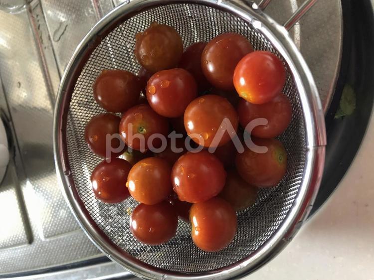 採れたて野菜 採れたて,野菜,トマトの写真素材