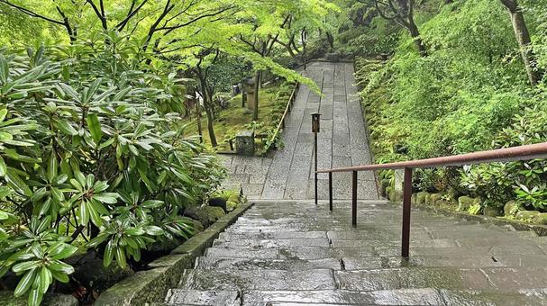 坂東33観音 04番 長谷寺 参道の石段 坂東33観音 04番 長谷寺 参道の石段の写真