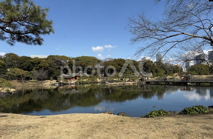 3月上旬の浜離宮 春の風景,季節の変わり目,風景の写真素材